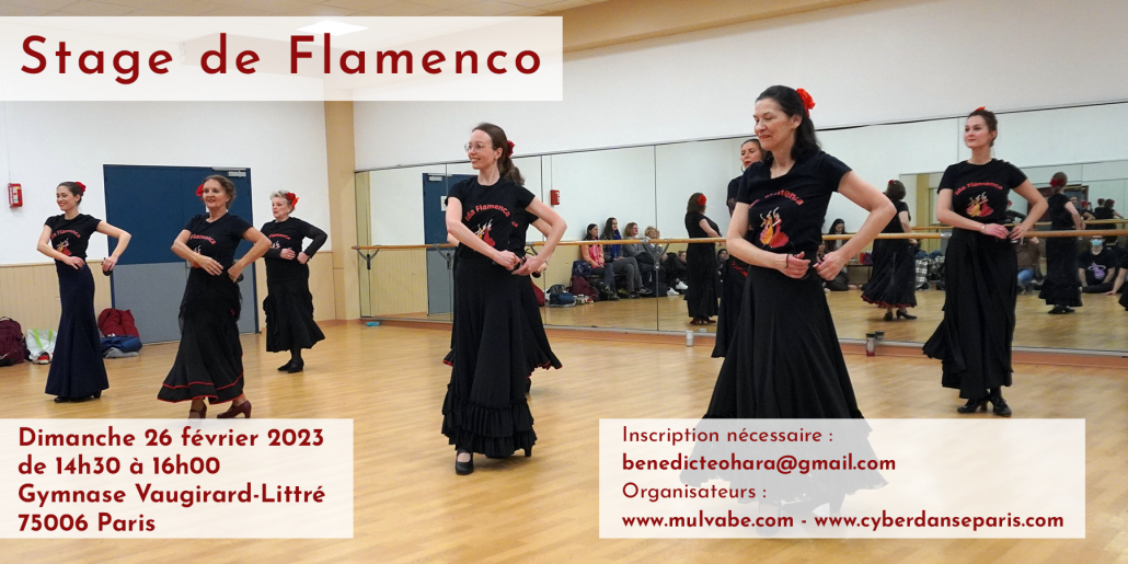 Danse Flamenco